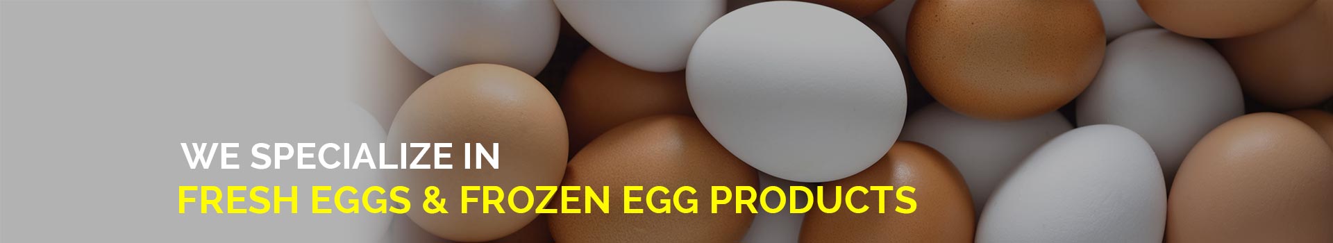Duck Eggs and Frozen Transport In Australia, Australian Egg Suppliers, Fresh Egg Suppliers, How to Stop Bacteria in Foods
