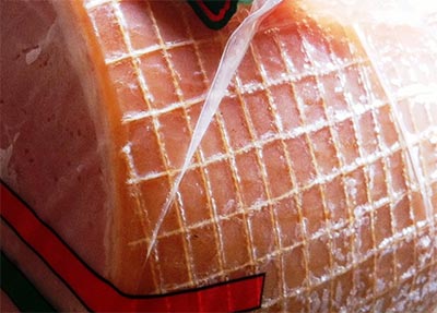 Australian Duck EGG Suppliers, TENDER JUICE - Flavour Enhancement, TENDER JUICE - Shelf Life Extension, TENDER JUICE - Pathogen Control