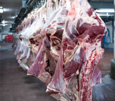 Australian Duck EGG Suppliers, TENDER JUICE - Flavour Enhancement, TENDER JUICE - Shelf Life Extension, TENDER JUICE - Pathogen Control